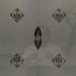 Meet your Posher, Jerry